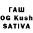 БУТИРАТ BDO Madina Chinieva