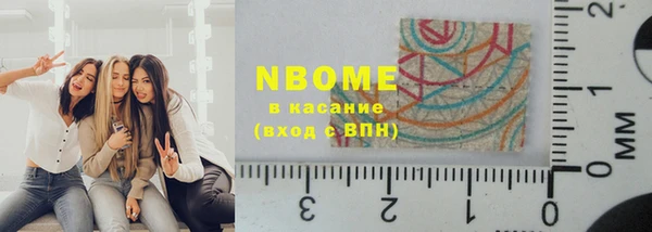 прущие грибы Балахна