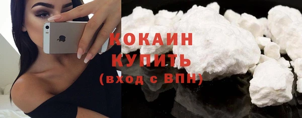 шишки Арсеньев