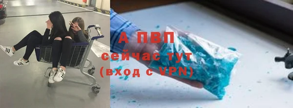 прущие грибы Балахна