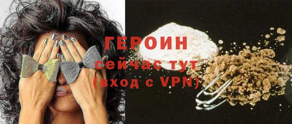 шишки Арсеньев
