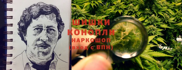 шишки Арсеньев