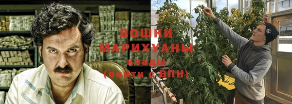 шишки Арсеньев