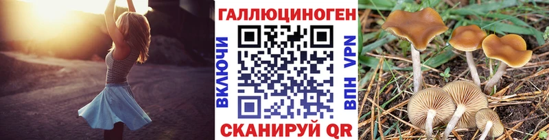 Галлюциногенные грибы ЛСД  где купить   Безенчук 